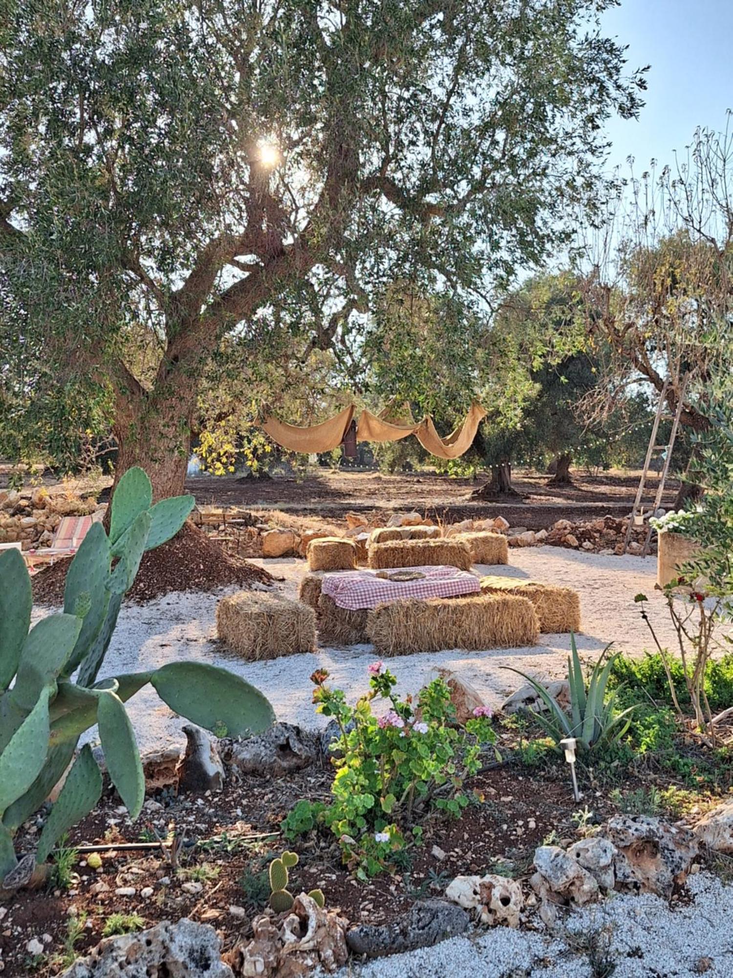 Residenza Anima Mediterranea Франкавілла-Фонтана Екстер'єр фото